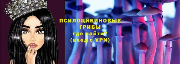 дживик Магас
