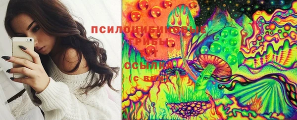 прущий лед Абаза