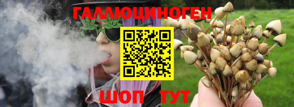 Комсомольск-на-Амуре  Галлюциногенные грибы GOLDEN TEACHER  Вход с VPN 
